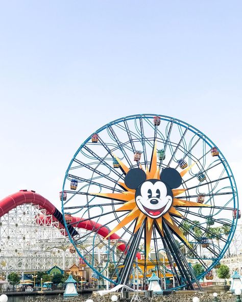 Pixar Pal-A-Round, you are so beautiful but so terrifying. 🎡 Pixar Pal A Round, Pixar Pier, You Are So Beautiful, You Are Beautiful, So Beautiful, Ferris Wheel, Pixar, Fair Grounds, Art Inspiration