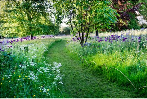 look at the hooped edging - is it willow? Photograph by Andrew Butler.  Known for its mown grass paths, Prince Charles' garden at Highgrove turns a simple landscape element into royal walkways. The secret to the transformation? Rich swaths of color and texture offset the velvety paths. For more, see Required Reading: Prince Charles And His Highgrove Garden. Green Backyard Landscaping, Landscape On A Budget, Highgrove Garden, Perennial Grasses, Wild Flower Meadow, Meadow Garden, English Cottage Garden, Have Inspiration, Wildflower Garden