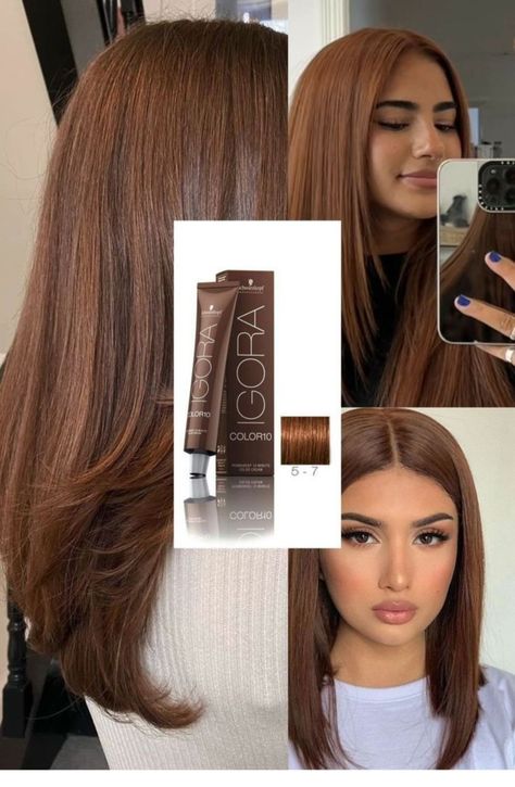 Igora Hair Color, Brown Hair Inspiration, Chocolate Brown Hair Color, Ginger Hair Color, Chocolate Brown Hair, Hair Stylies, Hair Inspo Color, Light Hair, Hair Color For Black Hair