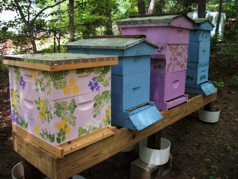 Bee-utiful hive colors! Do you like the look of these?  #art #design #honey #nature #love #beekeeping Vintage Painting Ideas, Bee Hive Art, Bee Habitat, Painted Bee Hives, Bee Hives Boxes, Raising Bees, Backyard Beekeeping, Buzz Bee, Honey Bee Hives