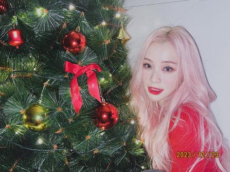 Merry christmas❤️🌹 | Instagram Dreamcatcher Christmas, Gahyeon Dreamcatcher, Ig Post, Happy Face, Kpop Girl Groups, Girls Generation, Dream Catcher, Merry Christmas, Fox