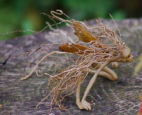 twig fairy Yard Crafts, Tree Root, Faeries Gardens, Deco Nature, Forest Creatures, Art Et Illustration, Mystical Creatures, Fairy Art, Fairy Land