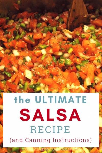 Salsa Recipe With Apple Cider Vinegar, Fresh Canned Salsa Recipe, Fresh Tomato Salsa For Canning, Fresh Garden Salsa For Canning, Canning Homemade Salsa With Fresh Tomatoes, Making And Canning Salsa, Salsa For Water Bath Canning, Water Bath Canned Salsa, Bernardin Salsa Recipe