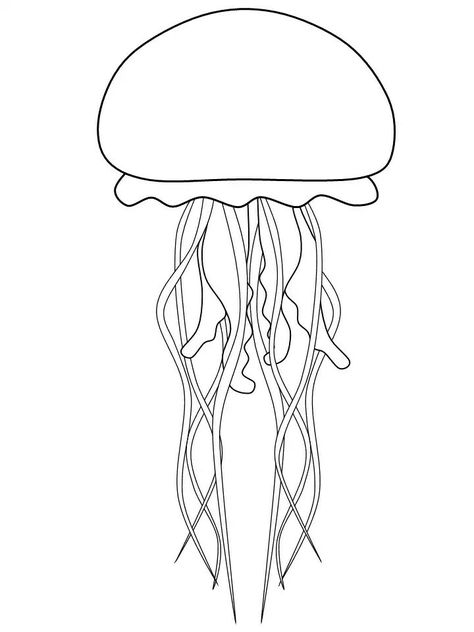 Sea Animal Outline, Jellyfish Drawing Simple, Jellyfish Outline, Jellyfish Coloring, Fish Outline, Jellyfish Pictures, Jellyfish Drawing, Jellyfish Design, Fish Coloring Page