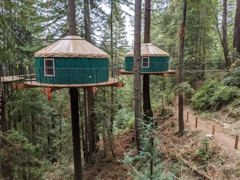 Yurt Treehouse, Yurts For Sale, Treehouse Resort, Tent Platform, Farm Resort, Tree Tent, Zipline Adventure, Tent Living, Tree House Plans