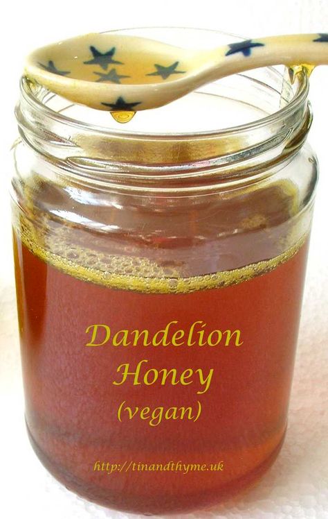 Dandelion Honey, Wild Food Foraging, Dandelion Flowers, Foraging Recipes, Dandelion Jelly, Foraged Food, Herbal Recipes, Vegan Alternatives, Dandelion Recipes