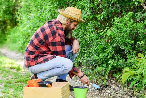 Natural Fencing, Indoor Jasmine, Thornless Roses, Big Gardens, Lily Varieties, Trumpet Plant, Petunia Care, Rooting Plants, Canna Lilies