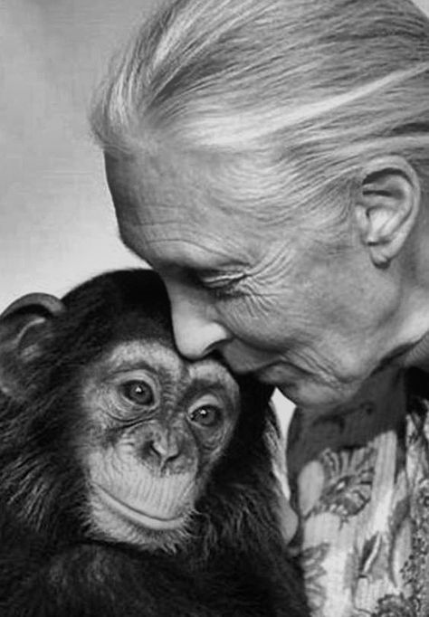 Valentina Tereshkova, Baby Chimpanzee, Spiritual Evolution, Smile Art, I Like Her, Jane Goodall, Environmental Portraits, Drawing Face, Human Touch