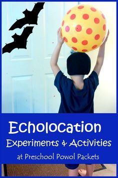 BATS :-) (could go with Stellaluna unit!)  |  Bat Science: Echolocation Activities (from Preschool Powol Packets) Bat Science Experiments, Bat Science, Bat Lessons, Bats Science, Nocturnal Animals Activities, Bat Activities, Bats Unit, Bats Activities, Cave Quest