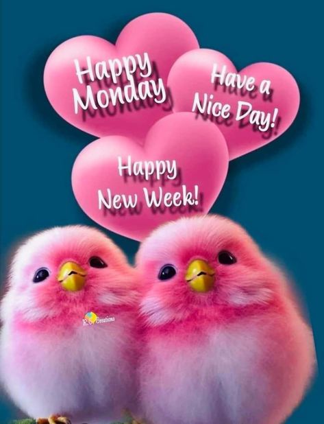 Monday Morning Coffee, Birthday Msgs, Happy Monday Images, Monday Wishes, Happy Monday Quotes, Happy Monday Morning, Monday Images, Good Morning Smiley, Good Morning Wishes Gif