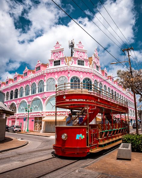 California Lighthouse Aruba, Aruba Things To Do, Aruba Photo Ideas, Aruba Vacation Pictures, Aruba Aesthetics, Aruba Oranjestad, Flamingo Beach Aruba, Aruba Trip, Aruba Cruise