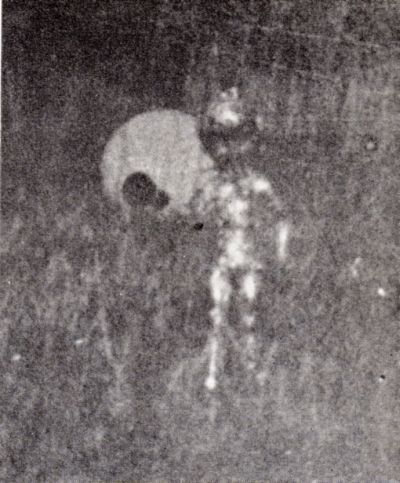 Le Petit Alien. Scary Aesthetic, Ufo Evidence, Skeleton Pics, Alien Pictures, Ufos Are Real, Aliens History, Alien Sightings, Latest Ufo, Secret Space Program