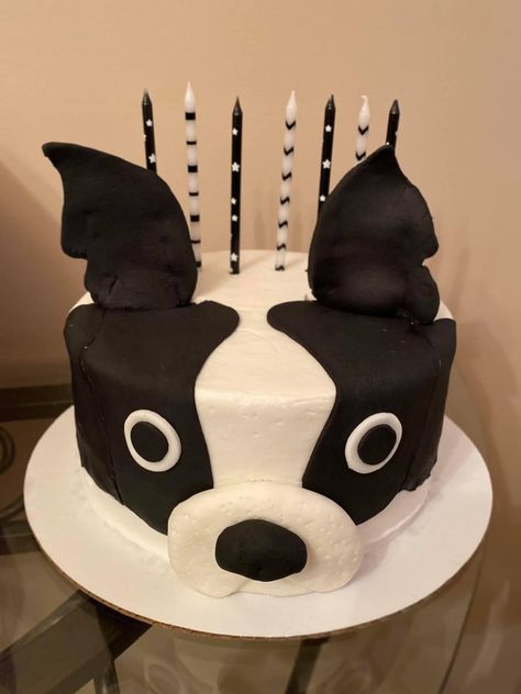 Boston Terrier Cake, Dogs Things, Ruby Cake, Girls First Birthday Cake, Black And White Dog, Dog Cake, Boston Terriers, First Birthday Cakes, Girl First Birthday