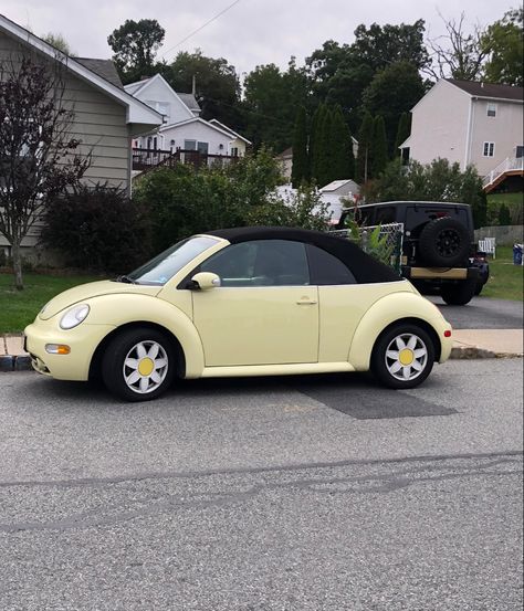 Small Cute Cars For Women, Ve Beetle, Vw Beetle Interior Ideas, Beetle Car Aesthetic Interior, Bug Cars Aesthetic, Slugbug Cars, Small Cars For Women, Vw Beetle Convertible Aesthetic, Cute Buggy Car