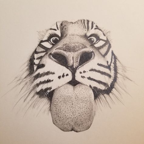 Tiger drawing by sweetpixeltreats #tigers #pencil #tongue #drawing #sweetpixeltreats White Tiger Drawing Easy, White Tiger Sketch, Tiger Teeth Drawing, Tiger Drawings Easy, Tiger Side Profile Drawing, Tiger Drawing Pencil, Baby Tiger Drawing, Drawings Of Tigers, Tiger Eye Drawing