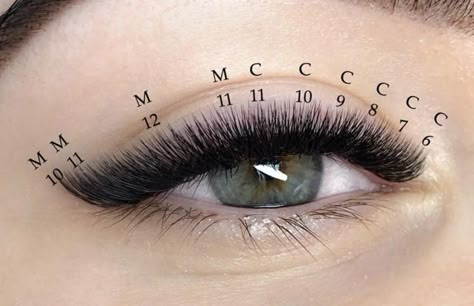 Eyelash Length Chart, Eyelash Extensions D Curl, Liner Lash Extensions, Blonde Lash Extensions, Classic Lash Extensions Mapping C Curl, Short Thick Lash Extensions, Type Of Lashes, L Curl Lash Map, Lash Extensions Eyeliner Effect