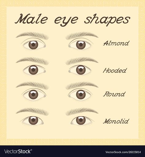 Male Eye Shapes, Male Eyes Reference Drawing, Eye Shape Chart, Shapes Vector, Almond Shaped Eyes, Drawing Eye, Types Of Eyes, Male Eyes, Dog Eyes