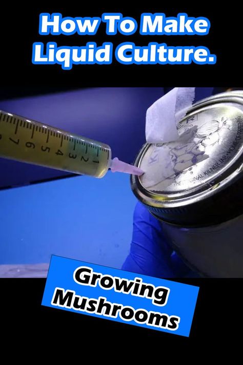 Liquid Culture, Magic Mushroom Recipe, Growing Mushrooms Indoors, Mushroom Culture, Edible Wild Mushrooms, Growing Mushrooms At Home, Garden Watering System, Mushroom Cultivation, Hydroponics Diy