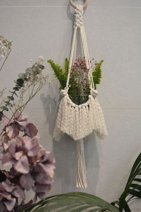 This cute macrame plant holder is the perfect addition to your home. It looks great in any room of the house Origami Lights, Cute Macrame, Small Fringe, Plant Hanger Macrame, Macrame Plant Holder, Small Boho, Dry Flowers, Macrame Knots, Romantic Dinners