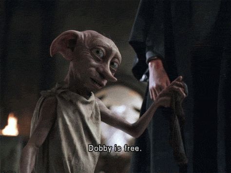 Dobby Is Free Free Dobby, Dobby Harry Potter, Potter Facts, Harry Potter Gif, Harry Potter Facts, Harry Potter Film, Harry Potter Love, Harry Potter Quotes, Harry Potter Obsession