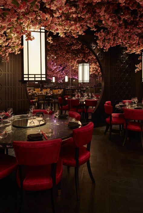 Magical Restaurant, Chinese Luxury, Edinburgh Restaurants, Japanese Restaurant Design, Modern Restaurant Design, Indoor Tree, Opening A Restaurant, Decoration Restaurant, Design Restaurant