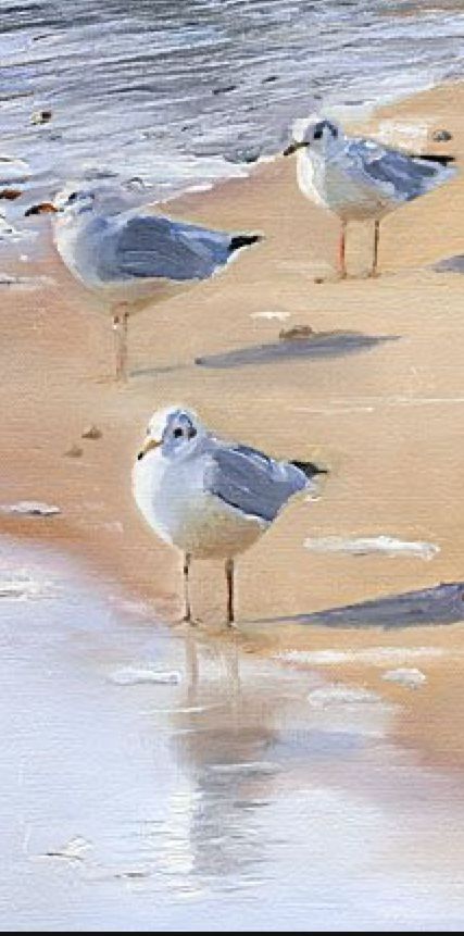 Birds On The Beach, Beach Watercolor Paintings, Shore Bird Art, Seagull Painting, Seagull Art, Beach Art Painting, Bird Watercolor Paintings, Watercolor Ocean, Beach Watercolor