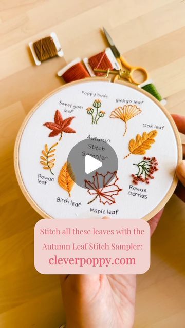 Julie Stuart ⋒ on Instagram: "Stitch 8 of your fav Autumn leaves including maple leaf, ginkgo leaf and poppy buds in our new Autumn Leaf Stitch Sampler! 🍁🍂  Which leaf is your fav? Let us know in the comments below 👇  Grab your kit while stocks last: cleverpoppy.com 💕  #embroidery #modernembroidery #DIY #beginnerembroidery #crafts" Maple Leaf Embroidery Design, Leaf Embroidery Pattern Design, Fall Leaf Embroidery, Maple Embroidery, Poppy Buds, Maple Leaf Embroidery, Leaf Stitch, Sweet Gum, Birch Leaf