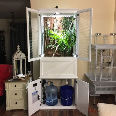 I purchased an old curio cabinet and refinished as a chameleon cage. This is completely bioactive enclosure. For more information, follow my entire working process on Instagram #thechameleoncageproject or search on YouTube 👉DIY Bioactive Chameleon Cage Pet Chameleon Cage, Chameleon Set Up, Bioactive Chameleon Enclosure, Chameleon Cage Setup Ideas, Diy Chameleon Enclosure, Chameleon Enclosure Ideas, Diy Chameleon Cage, Chameleon Cage Ideas, Chameleon Habitat