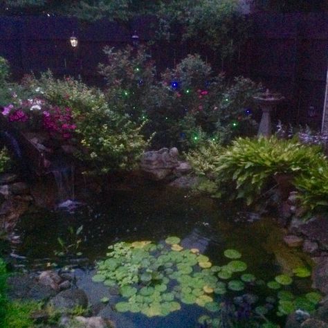 Love being in my yard more at night than during the day. The pond takes on a totally different dimension. Fairy Garden At Night, Pond At Night Aesthetic, Magical Night Aesthetic, Moonlit Garden Aesthetic, Nature At Night Aesthetic, Midnight Garden Aesthetic, Whimsigothic Garden, Dark Garden Aesthetic Night, Garden At Night Aesthetic