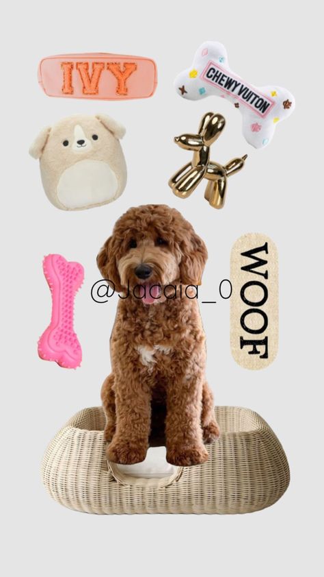 @jacaia_0 #dog #dogshuffle #fyp #preppy #cutedog #cute Preppy Dog Collar, Shuffles Preppy, Preppy Dog, Very Cute Dogs, Dog Christmas Gifts, Dog House, 16th Birthday, Dog Accessories, Create Collage