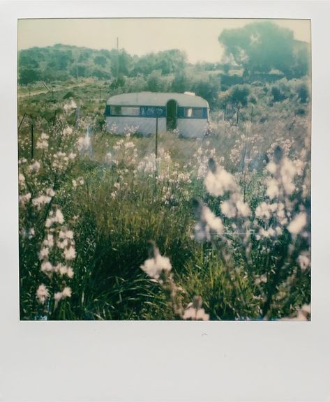 • lovers of utopia lies • on Instagram: “• i’m in there #polaroid #sx70” Polaroid Pics, Polaroid Photography, Instant Photography, Vintage Polaroid, Polaroid Pictures, Polaroid Photos, Instant Film, Nature Aesthetic, Aesthetic Photo