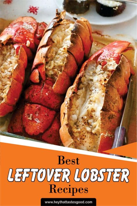 Wanna discover some best leftover lobster recipes? Well, you have come to the right place! Make your leftover lobster tasty like when they are fresh with these recipes! Leftover Lobster Recipes, Leftover Lobster, Mac And Cheese Pie, Lobster Dip, Lobster Pizza, Lobster Chowder, Lobster Tacos, Lobster Recipe, Butter Poached Lobster