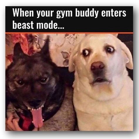 23 Workout Memes That'll Give You A Six-Pack From Laughing - Memebase - Funny Memes Yoga Puns, Yoga Meme, Sam Puckett, Yoga Humor, Fitness Jokes, Workout Memes Funny, Gym Humour, Best Workout Routine, Gym Buddy