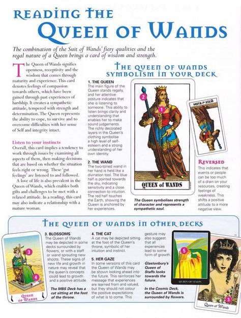 Mind, Body, Spirit Collection - The Queen Of Wands The Queen Of Wands, Queen Of Wands, Tarot Interpretation, Learn Tarot, Wands Tarot, Tarot Cards For Beginners, Learning Tarot Cards, Tarot Book, Tarot Tips