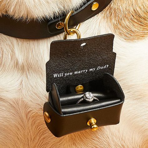 Dog Proposal, Personalized Engagement Rings, Ring Bearer Dog, Christmas Proposal, Creative Proposals, Dog Ring, Ring Bearer Pillows, Wedding Proposals, Engagement Ring Box