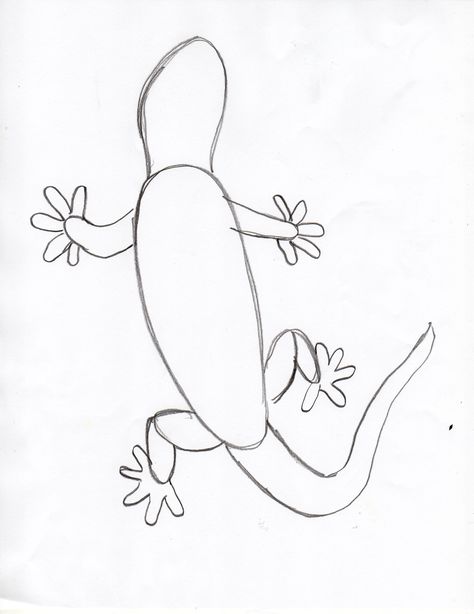 Draw a Gecko Step by Step - Art Starts Gecko Drawing, Gecko Wall Art, Rock Animals, Black Paper Drawing, Animal Tracks, Alphabet Coloring Pages, Kindergarten Art, Pet Rocks, Step By Step Painting