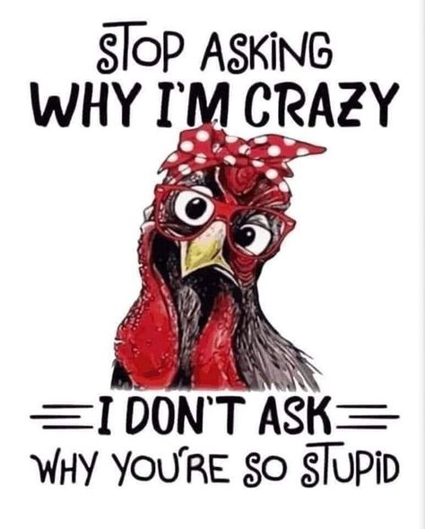 Rooster Funny, Funny Day Quotes, Chicken Art, Cup Ideas, Chicken Humor, Funny Cartoon Quotes, Funny Illustration, Cartoon Quotes, Sarcastic Quotes Funny