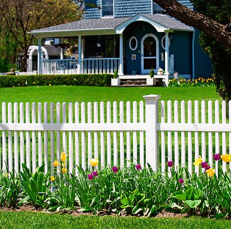 V700-44' HIGH CLASSIC VICTORIAN STRAIGHT TOP ILLUSIONS VINYL PICKET FENCE. AVAILABLE IN ALL GRAND ILLUSIONS COLORS AND WOODGRAINS. Shown in Classic Series White (C101) Patio Fence Ideas, White Garden Fence, Vinyl Fence Ideas, White Picket Fences, Picket Fencing, Vinyl Picket Fence, Low Fence, Backyard Fence Decor, Wooden Fence Ideas