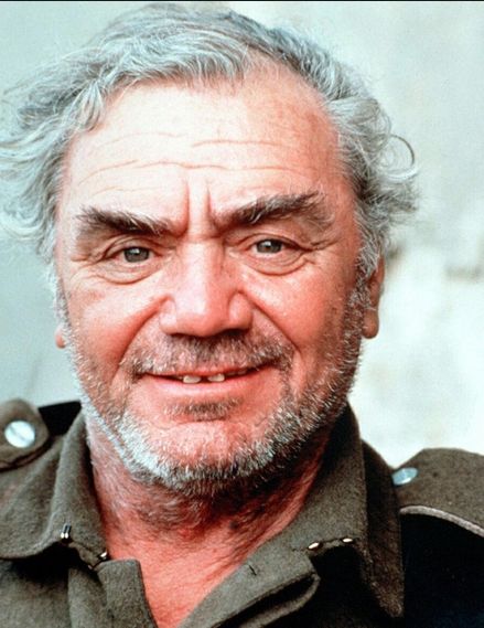 Ernest Borgnine, Best Actor Oscar, Pictures Of Celebrities, People Crowd, Military Honor, Large Image, Character Actor, Tv Guide, Hollywood Actor