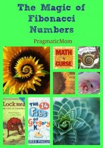 The magic of Fibonacci numbers Math In Nature, Maths In Nature, Fibonacci Number, Make Math Fun, Spirals In Nature, Math Enrichment, Math Patterns, Math Activities For Kids, Kids Math