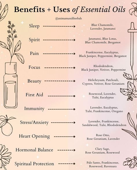 A N I M A M U N D I on Instagram: “The healing powers of essential oils include antifungal, antibacterial, and antiviral properties. 👉 Here’s a quick guide to a few that we…” Basic Essential Oils To Have, Essential Oils For Spells, Essential Oils For Witchcraft, Essential Oils Spiritual Uses, Essential Oil Magical Properties, Essential Oil Meanings, Visual Summary, Magick Oil, Essential Oil Combinations