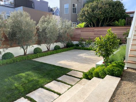 Backyard With Olive Trees, Patio With Olive Trees, Olive Tree Outdoor Patio, Olive Tree Landscape Design, Garden With Olive Trees, Olive Trees Backyard, Citrus Trees Landscape Backyards, Front Yard Minimalist Landscaping, California Backyard Landscaping Ideas