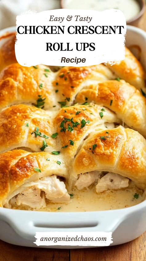 Chicken Crescent Roll Ups Chicken And Crossant Recipes Roll Ups, Chicken Alfredo Stuffed Crescent Rolls, Crescent And Chicken Roll Ups, Dinners Made With Crescent Rolls, Crescent Roll Chicken Casserole, Croissant Chicken Roll Ups, Croissant Roll Recipes Dinners, Crescent Roll And Chicken Recipes, Rotisserie Chicken And Crescent Rolls