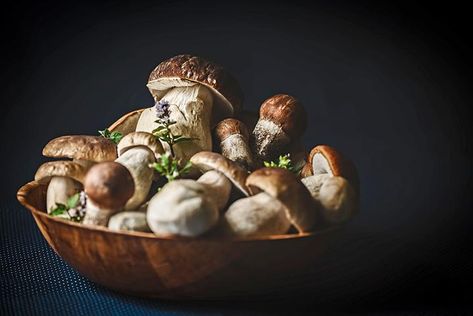 Mushroom Barley Soup, Cold Soba, Cooking Grains, Mushroom Stock, Mushroom Broth, Mark Bittman, Red Miso, Modern Farmer, Bone Broth Recipe