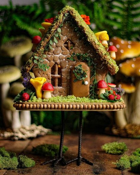 Cottage Core Baking, Lazy Witch, Love Herbs, Homemade Gingerbread House, Winter Witch, Ginger House, Gingerbread House Designs, Gingerbread Party, Gingerbread House Cookies