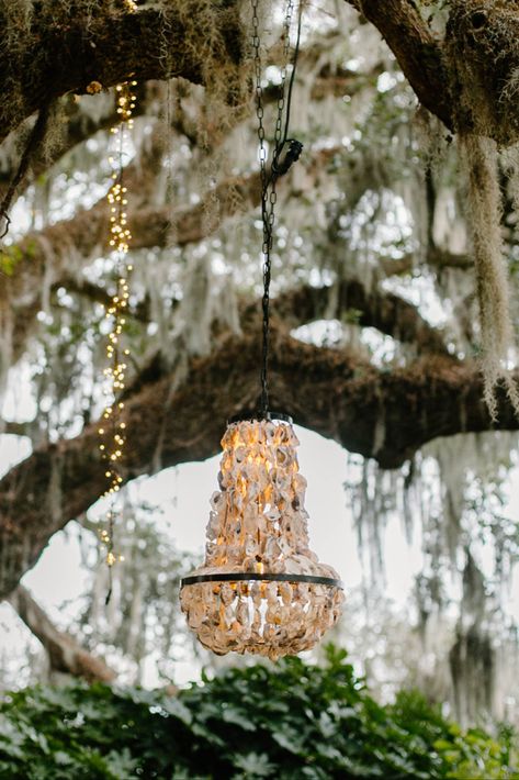 Backyard Coastal Wedding, Coastal Cowboy Wedding, Southern Coastal Wedding, Oyster Wedding Decor, Coastal Cowgirl Wedding, Oyster Chandelier, Swamp Wedding, Marsh Wedding, Oyster Wedding