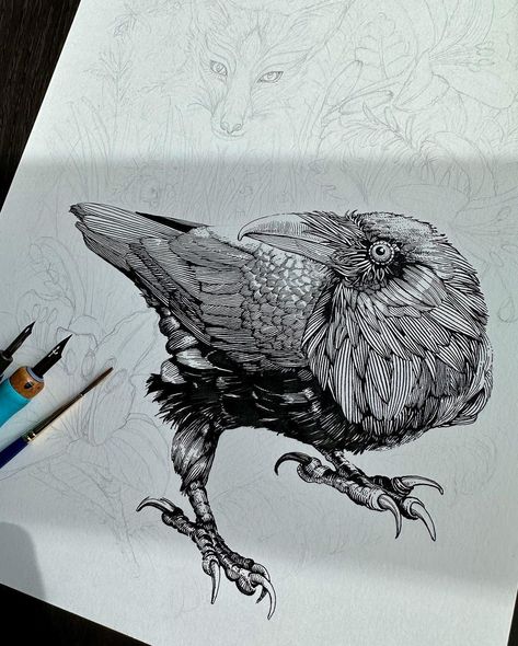 Based on the fable of Aesop as a warning against listening to flattery. The ‘Fooled Me Once’ 9x12 dip pen and ink original illustration is… | Instagram Bird Ink Illustration, Ink Dip Pen Drawing, Dip Pen Illustration, Animal Ink Drawing, Dip Pen Art, Ink Art Ideas, Dip Pen Drawing, Inking Art, Pen And Ink Illustrations