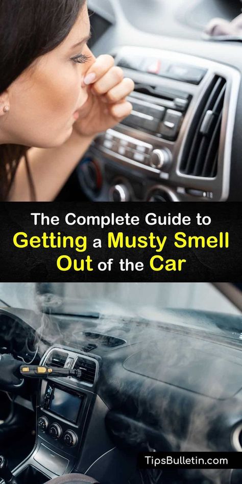 Discover ways to get a musty smell out of a car by cleaning the car interior and using odor absorbers and an air freshener. Mildew emits a bad smell - it may be from the car AC or damp carpet and upholstery. It’s easy to eliminate with proper maintenance. #remove #musty #smell #car How To Make Your Car Smell Good Easy Diy, Make Car Smell Good, Cleaning Interior Of Car, Diy Car Cleaner, Car Smell Hacks, Make Your Car Smell Good, Car Odor Eliminator, Mold Smell, Best Car Air Freshener