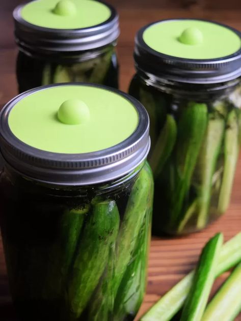 How to Make Easy Homemade Fermented Dill Pickles Fermented Dill Pickles, Fermented Vegetables Recipes, Homemade Pickles Dill, Making Sauerkraut, Fermented Sauerkraut, Fermenting Weights, How To Make Pickles, Fermented Pickles, Fermentation Crock