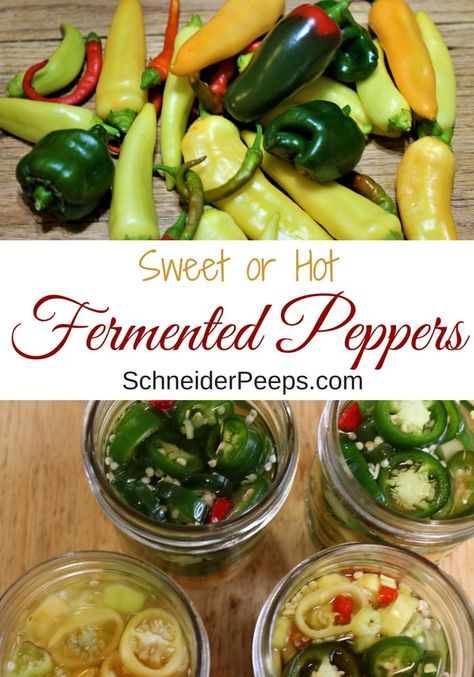 Skip the vinegar and pickle peppers the old fashioned way by fermenting them. Fermented peppers give you all the storage benefits of pickled peppers without the vinegar taste. Make fermented jalapenos or fermented sweet banana peppers, the recipe and process is the same. #PreservingFood #FermentingVegetables #FromScratch #homesteading Fermented Jalapenos, Pickle Peppers, Fermented Peppers, Homemade Probiotics, Sweet Banana Peppers, Fermented Vegetables Recipes, Hot Banana, Fermented Recipes, Food Preserving